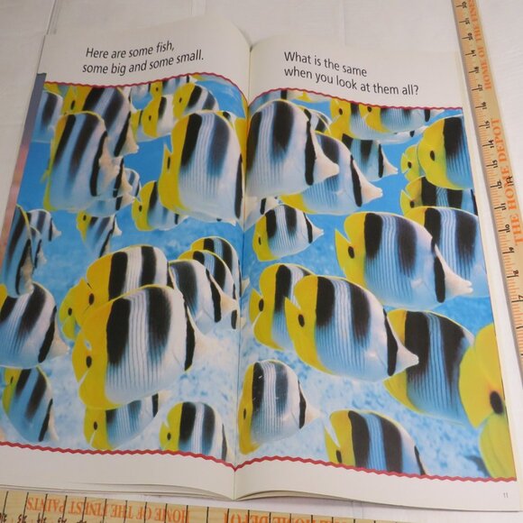 Sort It Out BIG BOOK (almost 2 feet tall) with teacher pages CLASSROOM SIZE - Picture 8 of 16